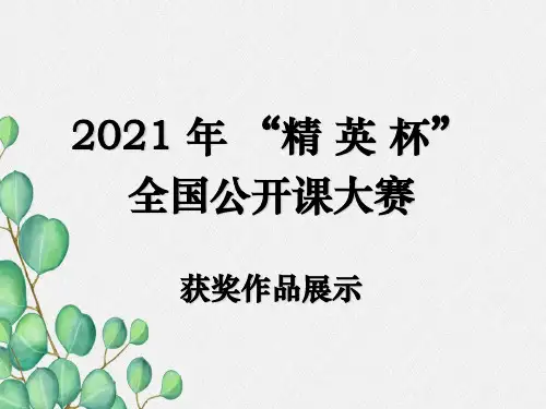 《电是什么》PPT课件 (公开课获奖)2022年沪科版物理 (11)