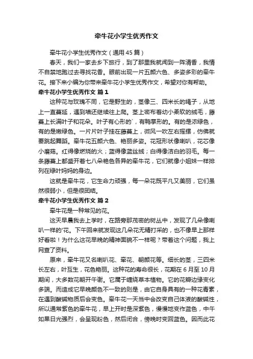牵牛花小学生优秀作文（通用45篇）