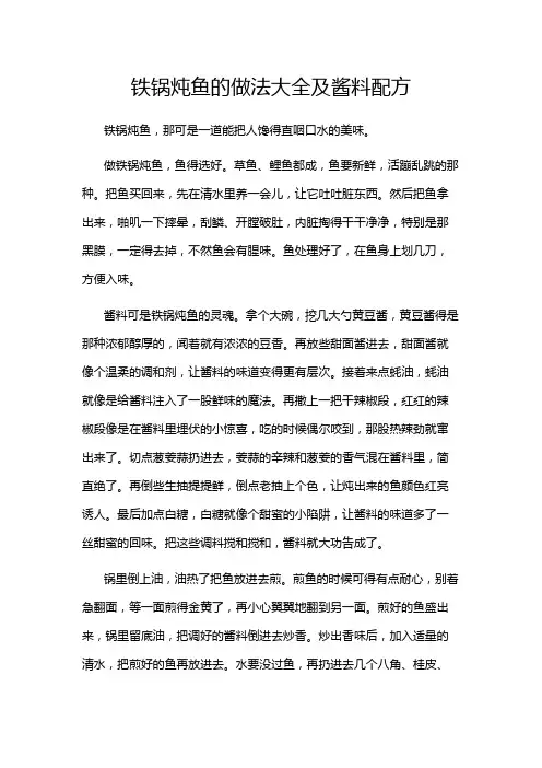 铁锅炖鱼的做法大全及酱料配方