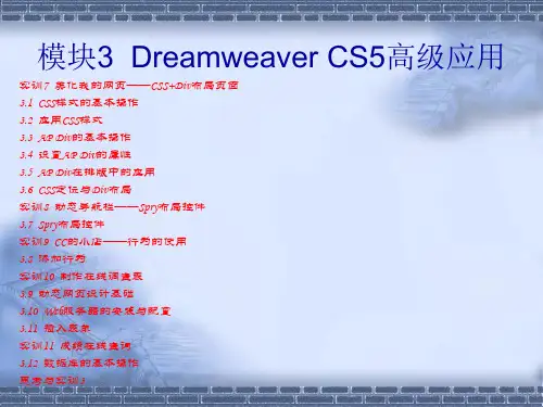 19506-Dreamweaver CS5网页制作-电子教案- 模块3