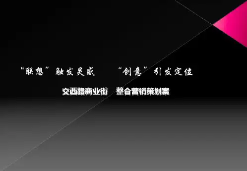 上海西街新天地项目商业定位及整合营销策划方案_91页