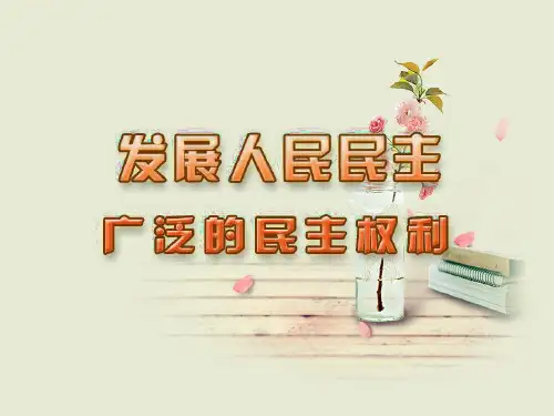 发展人民民主-广泛的民主权利PPT教学课件