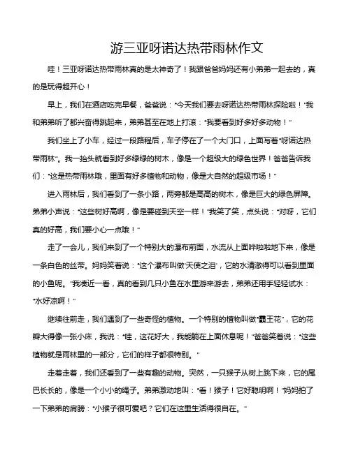 游三亚呀诺达热带雨林作文