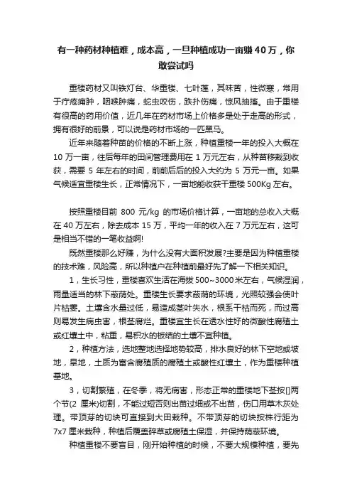 有一种药材种植难，成本高，一旦种植成功一亩赚40万，你敢尝试吗