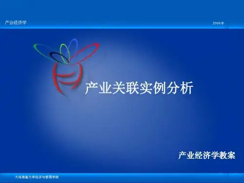 产业经济学产业关联实例分析-46页PPT文档资料