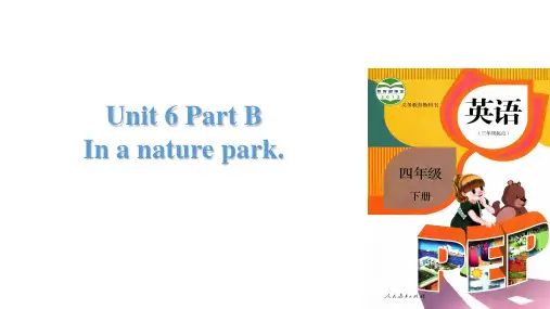 人教PEP五年级上册英语Unit 6 In a nature park Part B(共47张PPT