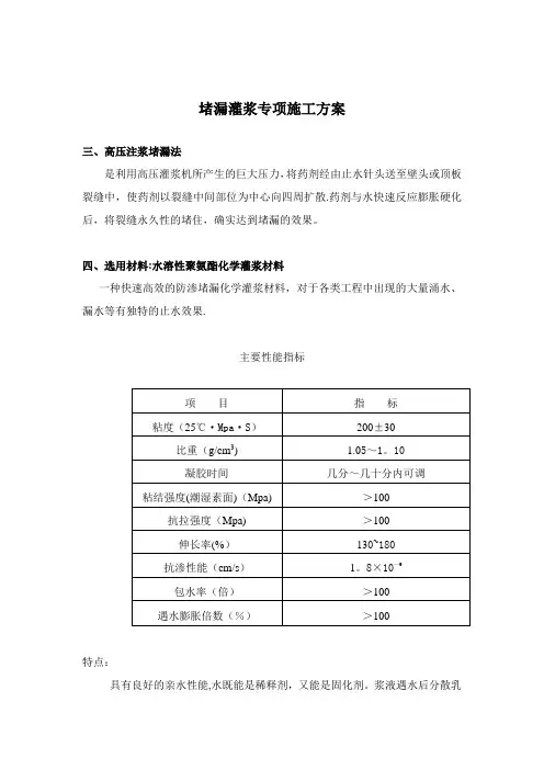 堵漏灌浆专项施工方案