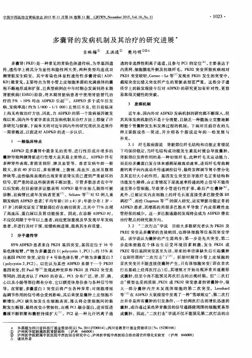 多囊肾的发病机制及其治疗的研究进展
