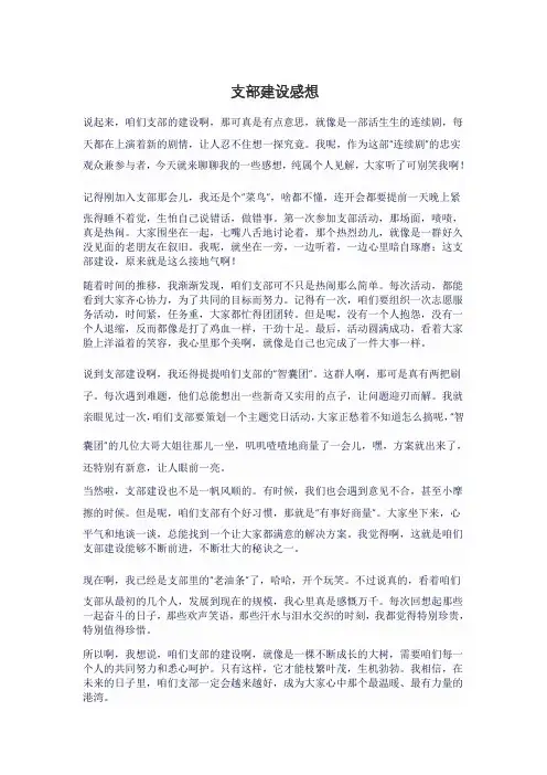 支部建设感想