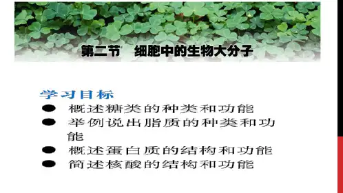2.3脂质的种类和功能