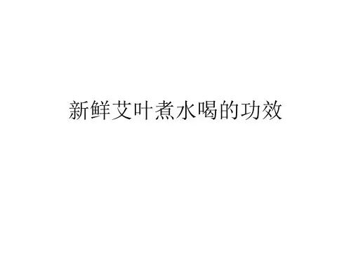 新鲜艾叶煮水喝的功效资料