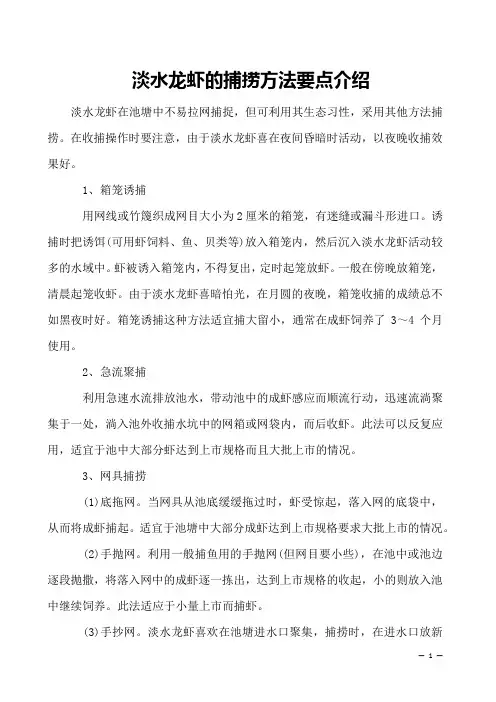 淡水龙虾的捕捞方法要点介绍