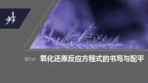 2024年高考化学一轮复习(新高考版) 第1章 第5讲 氧化还原反应方程式的书写与配平