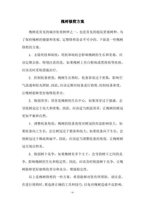 槐树修剪方案
