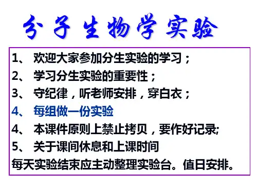 基因组DNA的提取及电泳鉴定