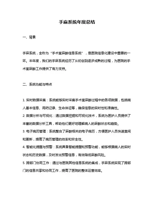 手麻系统年度总结