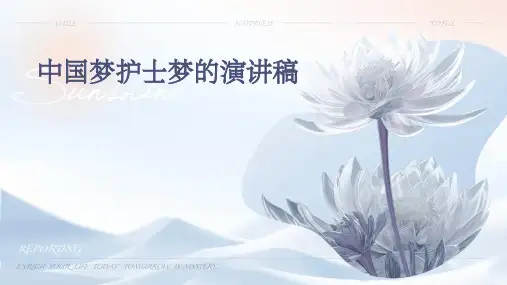 中国梦护士梦的演讲稿PPT