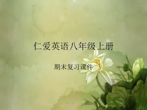 仁爱英语八上复习课件(词汇 语法).ppt
