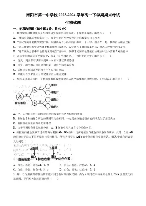 河南省南阳市第一中学校2023-2024学年高一下学期期末考试生物学试题(含答案)