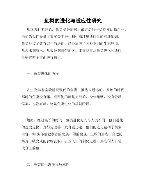 鱼类的进化与适应性研究