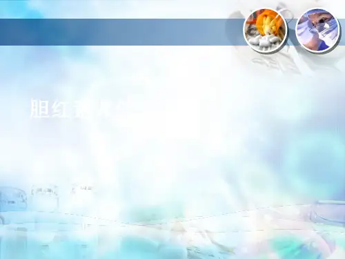 胆红素PPT课件