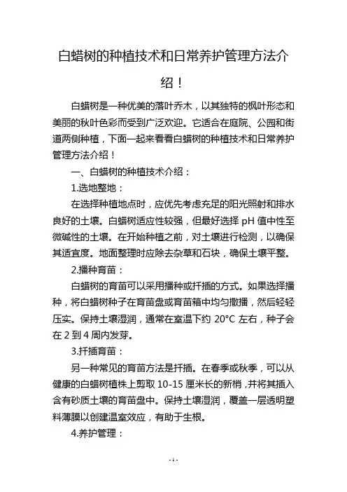 白蜡树的种植技术和日常养护管理方法介绍!