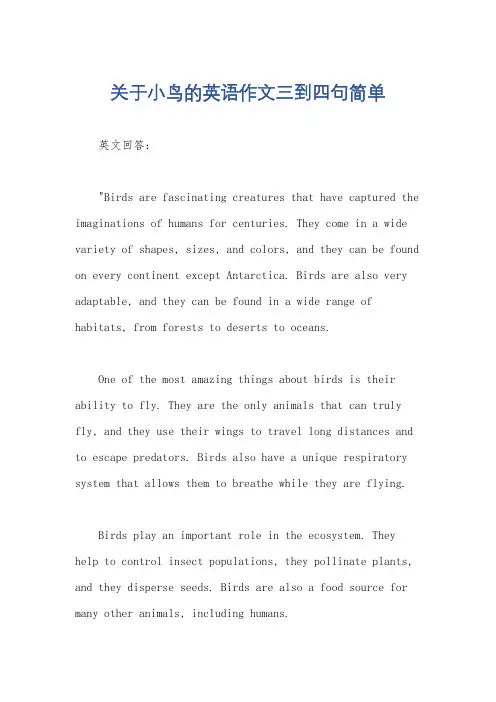 关于小鸟的英语作文三到四句简单
