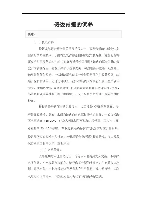 锯缘青蟹的饲养