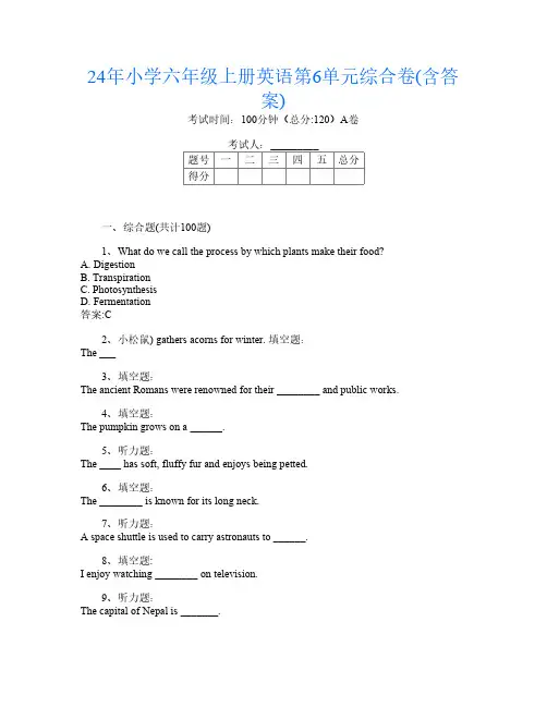 24年小学六年级上册第16次英语第6单元综合卷(含答案)