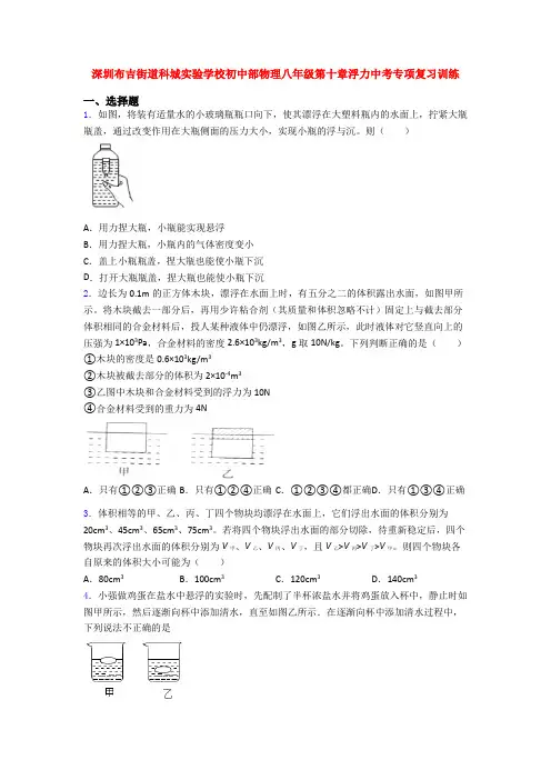 深圳布吉街道科城实验学校初中部物理八年级第十章浮力中考专项复习训练