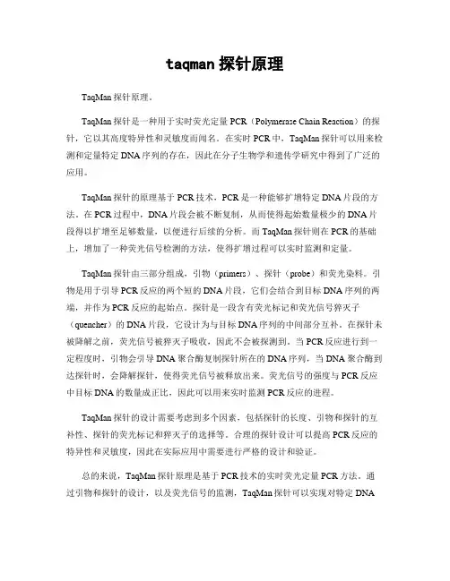 taqman探针原理