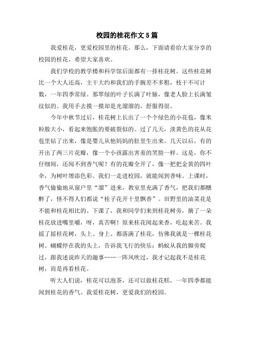 校园的桂花作文5篇