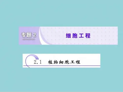 2018-2019学年高二生物人教版选修三教学课件2.1.1 植物细胞工程的基本技术