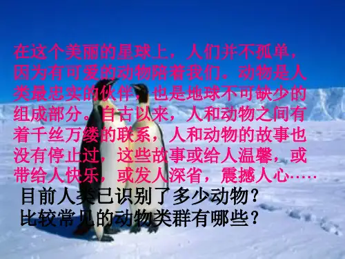 无脊椎动物的主要类群