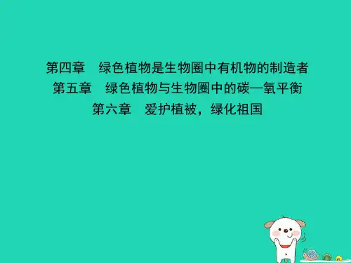 (江西专版)2019中考生物第1部分第三单元第四章第五章第六章复习课件