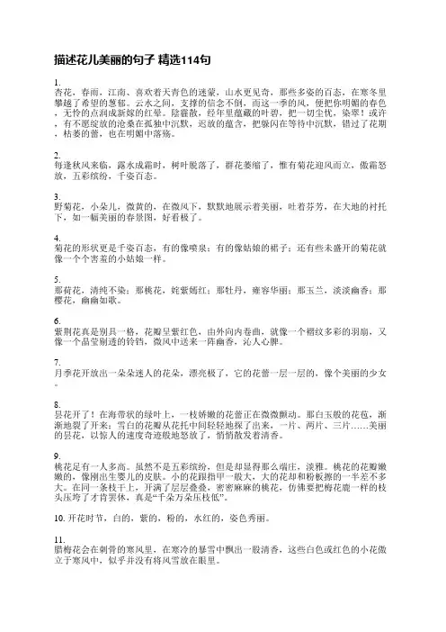 描述花儿美丽的句子精选338句