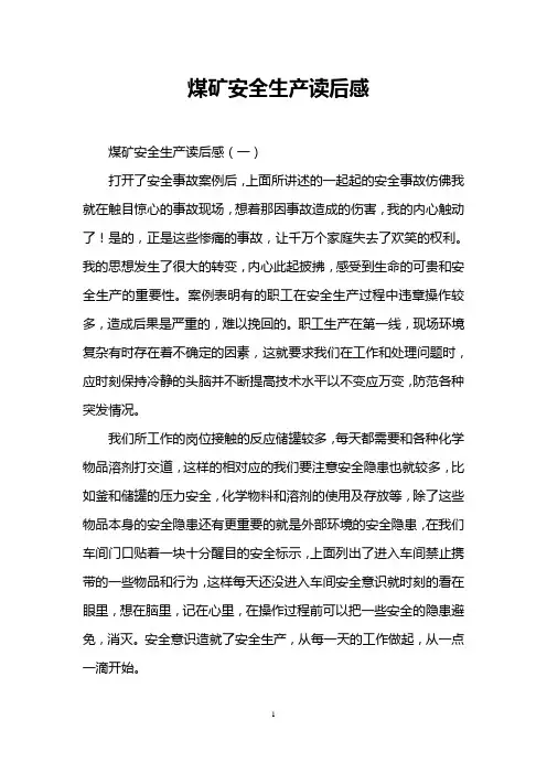 煤矿安全生产读后感