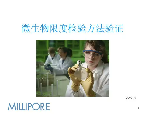 微生物限度检验