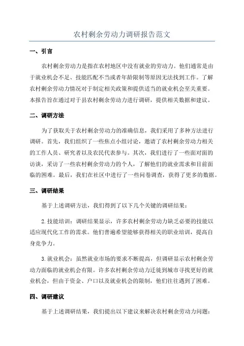 农村剩余劳动力调研报告范文