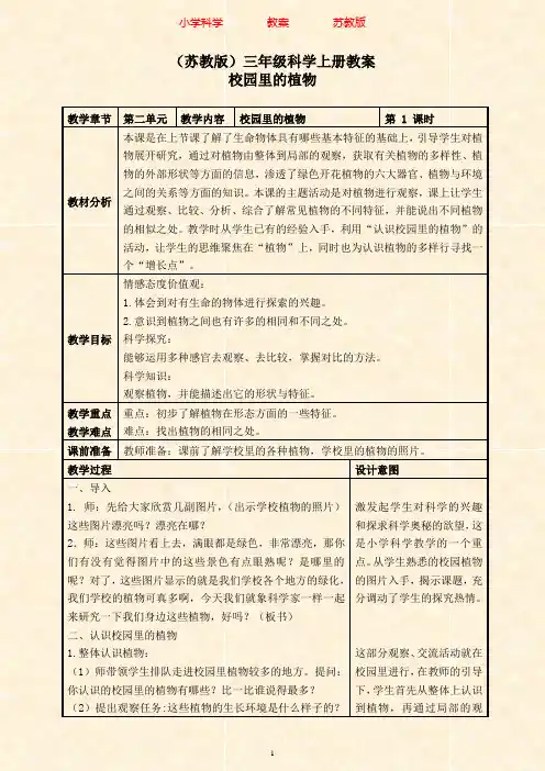 苏教版科学三年级上册教案《04校园里的植物》(3)-附知识点梳理