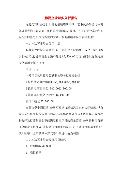 2019年影视企业财务分析报告