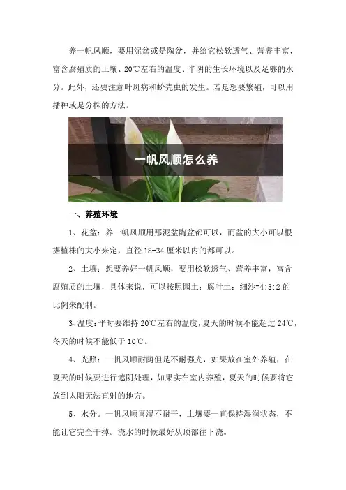 一帆风顺怎么养