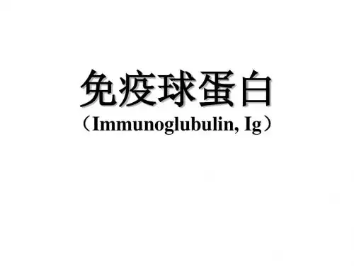 4.免疫球蛋白