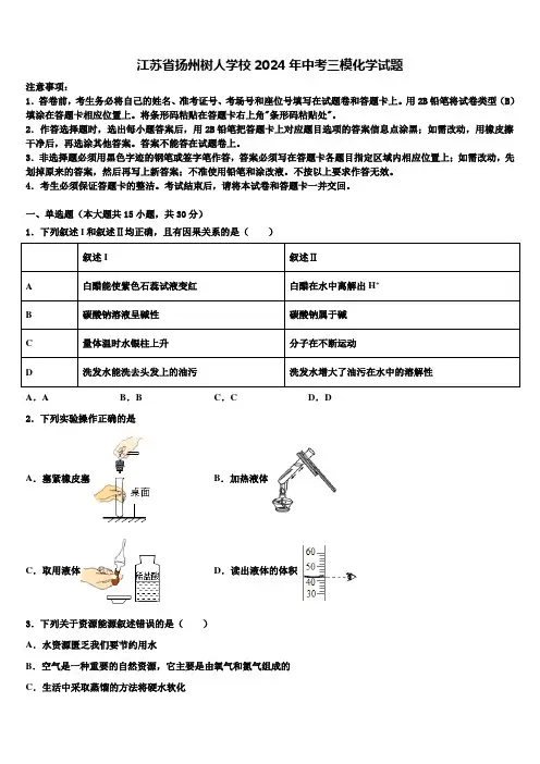 江苏省扬州树人学校2024年中考三模化学试题含解析