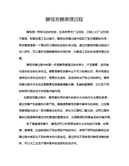 酵母发酵原理过程