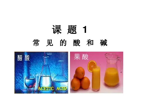 人教版九年级化学下册第十单元 课题1 常见的酸和碱 第一课时
