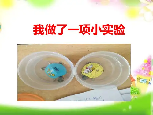统编版(教育部编写)三年级下册语文课件-习作：我做了一项小实验  (共9张PPT)