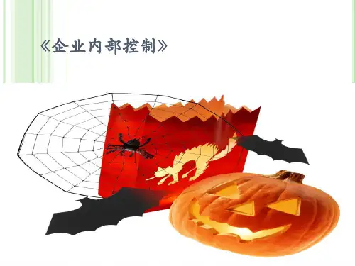 企业内部控制培训课件完整版