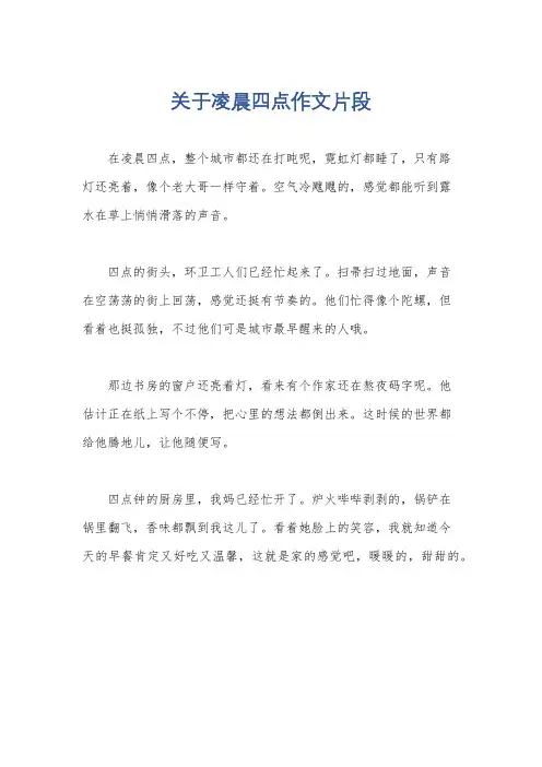 关于凌晨四点作文片段