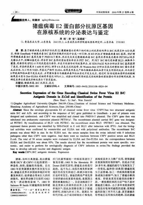 猪瘟病毒E2蛋白部分抗原区基因在原核系统的分泌表达与鉴定
